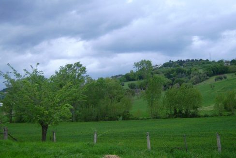 imm_6110