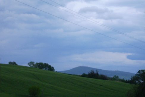 imm_6110